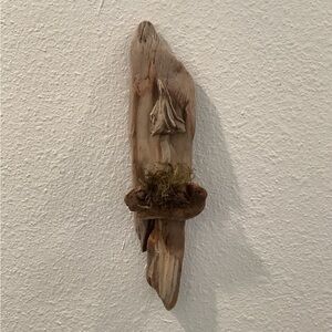 Driftwood Art, Driftwood Mushroom, Mushroom Art, Driftwood Wall Art